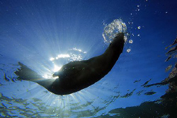 Breathing in the surface. by Miguel Cortés 